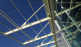 Canopy Structure © Ian Marshall Photography